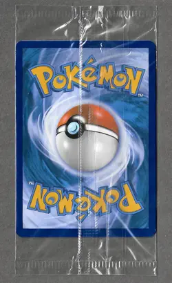 2016 Magikarp XY143 Promo - FACTORY SEALED - Holo Black Star Promo - Pokemon TCG - Image 4