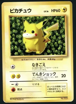 Pokemon Card Ivy Pikachu No. 025 Non Glossy Keiji Kinebuchi Promo MP 2 - Image 1