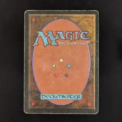 MTG \>> Savannah (PO) <<// Revised - 341 Trading - Magic - Image 2