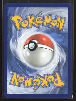 Mega Kangaskhan ex - 025 025 Holo Promo ME: Mega Evolution Promo Pokemon NM/M - Image 2