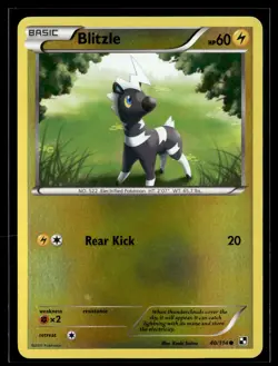 Blitzle 40/114 Black & White Reverse Holo Common Pokemon - Image 1