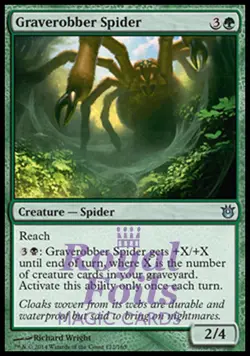 Graverobber Spider 2x FOIL BNG MTG Born of the Gods Uncommon MINT green - Image 1
