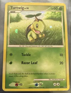 Pokemon TCG Turtwig Holo || Diamond and Pearl Promo 2007 - Image 1