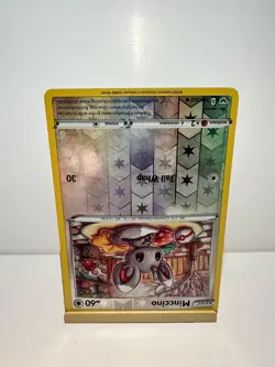 Minccino 146/202 Common Sword & Shield Pokemon Reverse Holo Near Mint - Image 2