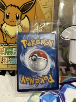 Pokemon S-Chinese CSGC 004/008 Frosmoth Gift Set Silicone Card Case Keyring - Image 3