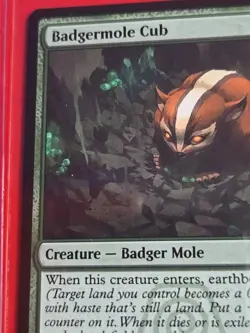 Badgermole Cub Avatar: The Last Airbender Regular - Image 2