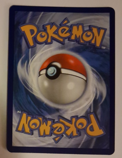 Eevee NM SVP 173 Black Star Promo Scarlet & Violet Promos 173 Pokemon TCG - Image 2
