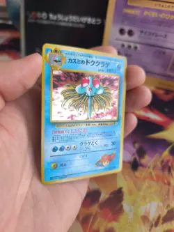 Pokemon Karte Card Misty's Tentacruel Tentoxa Gym Heroes Holo Wotc japanese Exc- - Image 5