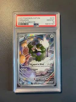 Tornadus 210 2025 Pokemon SVP Black Star Promo PSA 10- - Image 1