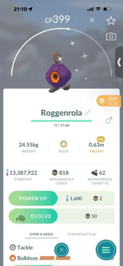 Pokemon Go Shiny Roggenrola ( XXL) - Image 1