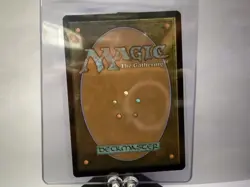 🔥Edge of Eternities MTG | Stellar Sights Land Lot | Borderless🔥 - Image 5