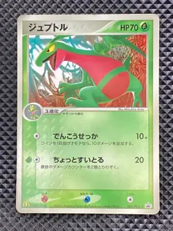 Grovyle 081/PCG-P Promo 2005 Pokemon Japanese #9F2 - Image 1