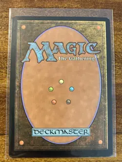 MTG✨FOREST Judge Full Art FOIL✨RARE Basic Land MINT T. Nielsen Art 2014 UNPLAYED - Image 2