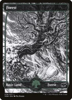Lot of 20x Forest #276 - VOW Innistrad Crimson Vow - MTG Magic FULL ART Land NM - Image 1