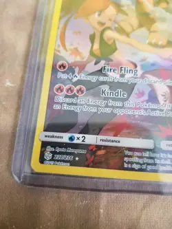Torkoal Basic HP110 Fire Holo #237/236 Pokemon 2019 Card - Image 4