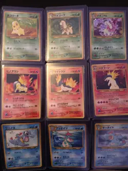 Pokemon Neo Genesis Complete Japanese Premium File Typhlosion Meganium Feraligat - Image 1