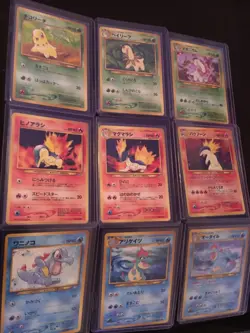 Pokemon Neo Genesis Complete Japanese Premium File Typhlosion Meganium Feraligat - Image 3