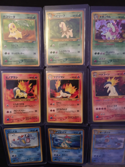 Pokemon Neo Genesis Complete Japanese Premium File Typhlosion Meganium Feraligat - Image 4