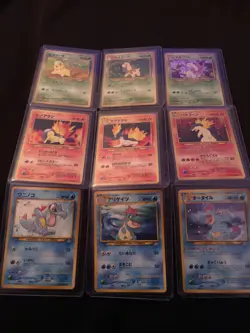 Pokemon Neo Genesis Complete Japanese Premium File Typhlosion Meganium Feraligat - Image 5