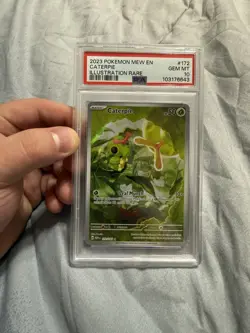 Caterpie 172/165 Pokemon Sv: Scarlet & Violet 151 Holo GEM MT PSA 10 - Image 1