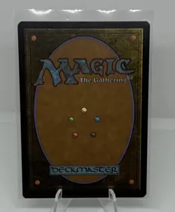 Stormcarved Coast (Borderless) (Foil) 0304 (R) MTG Secrets of Strixhaven (SOS) - Image 2