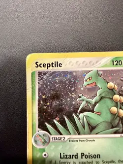 Pokemon Sceptile EX Ruby & Sapphire Holo Rare 11/109 (2003) - DMG - Image 2