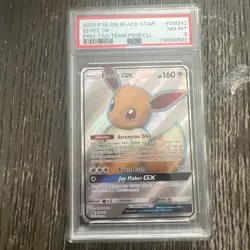 Pokemon Eevee GX TCG Full Art Holo Rare Black Star Promo Card SM242 - Image 1