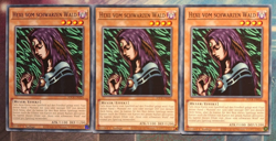 3x Hexe vom schwarzen Wald SDCK-DE024 Common DEUTSCH 1.Auflage Playset Yu-Gi-Oh - Image 1