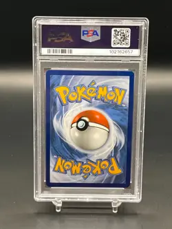 PSA 9 Squirtle Stellar Crown Illustration Rare 2024 Pokemon 148/142 Mint - Image 2