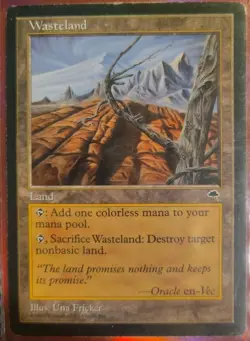 ✨✨✨Wasteland✨✨✨ ✨ ✨✨X1 Mtg✨✨✨TEMPEST✨LP✨✨ - Image 1