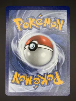 Pokemon TCG Ascended Heroes 290/217 Mega Dragonite ex SIR NM/MINT FREE SHIPPING - Image 2
