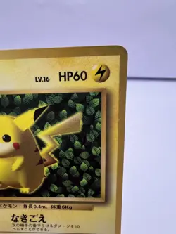 Pokemon Card Ivy Pikachu Glossy CoroCoro Promo No 025 Ken Sugimori MP Japanese - Image 3