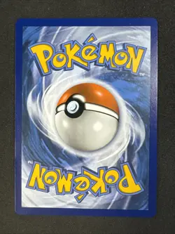Pikachu V SWSH061 SWSH: Sword & Shield Promo Cards Holo Black Star Promo Pokemon - Image 2