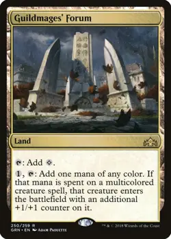 Guildmages' Forum R Guilds of Ravnica 250 NM - Image 1