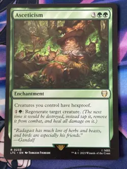 MTG - 1x Asceticism - Lord of the Rings Commander NM - Image 1