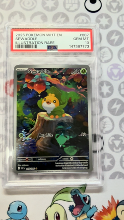 🌟2025 POKEMON WHT EN-WHITE FLARE ILLUSTRATION RARE #087 SEWADDLE PSA 10🌟 - Image 2