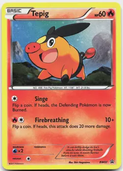 Tepig BW07 Holo Promo Black And White Promo Pokemon Holo Near Mint - Image 1