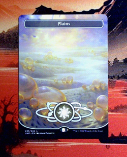 MTG Plains (235) (Borderless) Regular UNF 235 NM L - Image 1