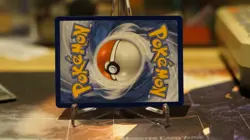 Eevee SVP 173 Full Art Illustration Rare Pokemon TCG Black Star Promo NM - Image 3