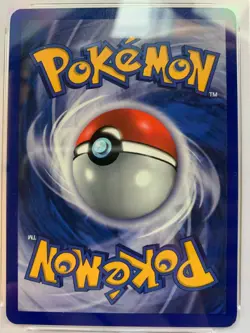 Pokemon Pewter City Gym 1st Edition - Gym Heros - 115/132 - PSA 9 - Image 4