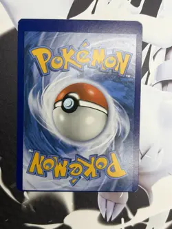 MACHOP 2016 POKEMON XY SERIES EVOLUTIONS COMMON 57/108 MISCUT/MISPRINT ERROR - Image 2