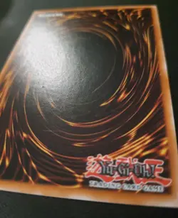 Maiden of White - SDWD-EN041 - 1st Ed Quarter Century Secret Rare NM YUGIOH - Image 5