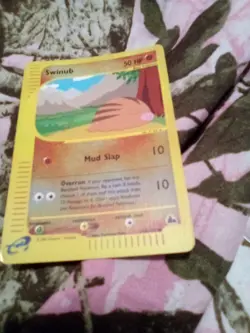Swinub - Reverse Holo - 108/144 Skyridge - WOTC - Pokemon TCG - 2003 - Image 1