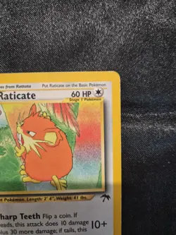 Pokemon Raticate 06/18 Southern Islands Regular - Image 5