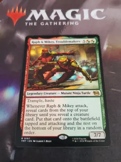 Mtg. Raph & Mikey, Troublemakers. Teenage Mutant Ninja Turtles. Nm - Image 1