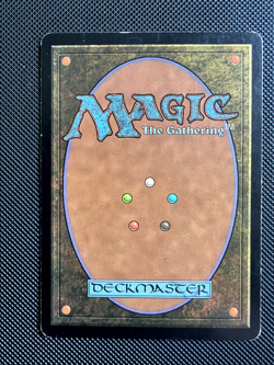 #240 MP Vigor, rare, Lorwyn series MTG card, pre-owned - Image 2