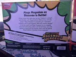 Pokemon TCG: Mega Evolutions Ascended Heroes Mega Ex Box Lot Of 2 Sealed. - Image 2