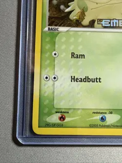Pokemon Card - Shroomish Emerald 63/106 Common Reverse Holo Stamped LP - Image 5