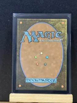 SHIPS TODAY MTG Eclipsed Steppe (0101) Extended Art Secrets Of Strixhaven Card - Image 2