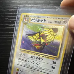 Pokemon Pidgeot Jungle 016 Holo Rare Stage 2 Japanese 80 HP Card 1996 - Image 3